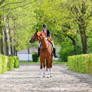 Afbeelding_Sanne_Voets