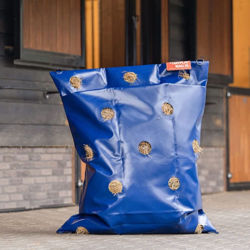 04_Horse Originals - XL (Web)