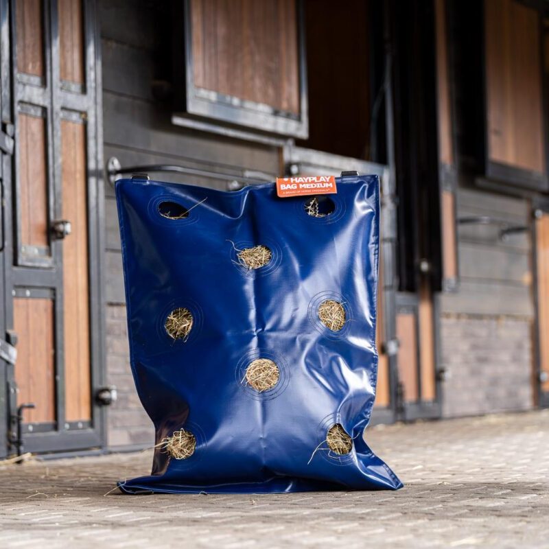 Horse Originals - DaKo Fotografie (Webformaat) 03