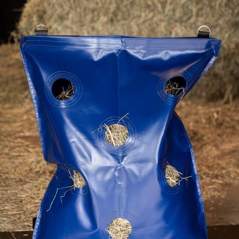 Horse Originals - DaKo Fotografie (Webformaat) 16