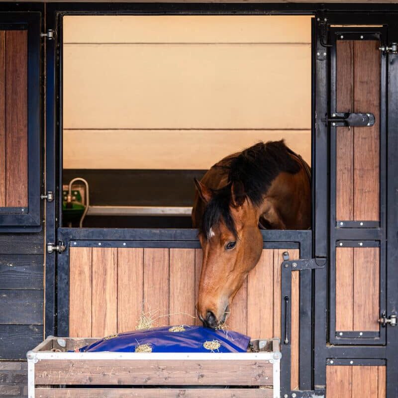 Horse Originals - Improves Digestion