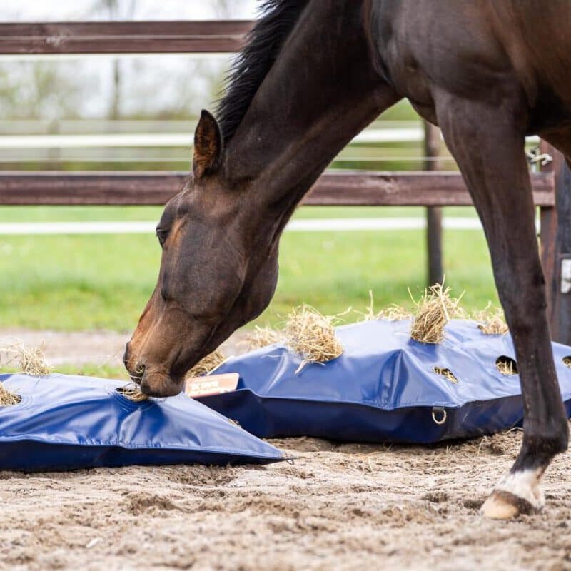 Horse Originals - Natural Eating Posture